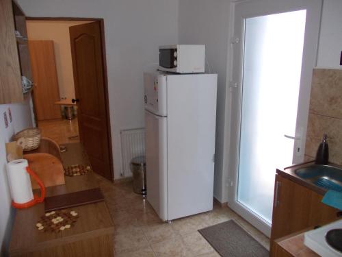 a kitchen with a white refrigerator with a microwave on top at Clisura Dunarii - Danubian Border in Berzasca