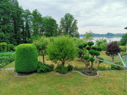 a garden with bushes and trees and a body of water at Ferienhaus Frank in Potzlow