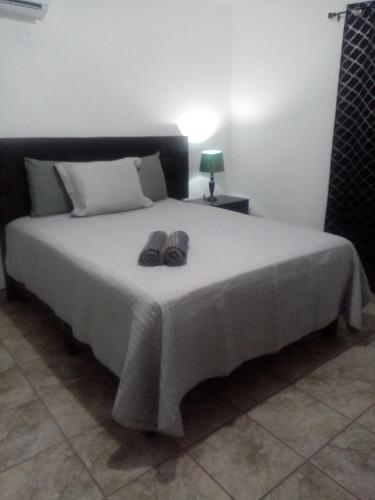 Casa ALMENDRA de 3 recamaras