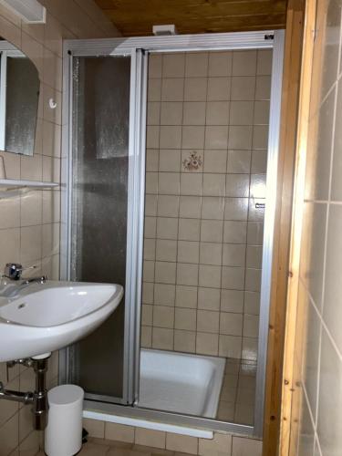 プファルヴェルフェンにあるEllmauhofのバスルーム(シャワー、シンク付)