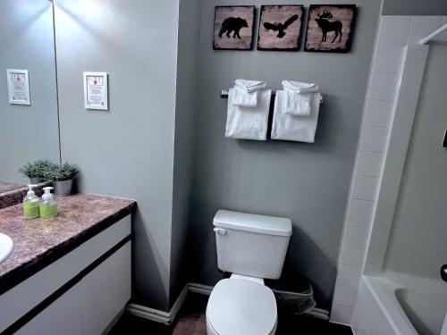 a bathroom with a toilet and a sink at Canadian Rockies Chalets by Trilink - 2 & 3 Bedroom Condos - Self Check-In - Walking Distance to Downtown - Free Parking - Pet-Friendly - No AC in Canmore