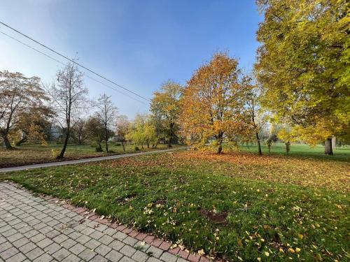 a path in a park with leaves on the grass at Atpūtas māja Sigulda in Sigulda