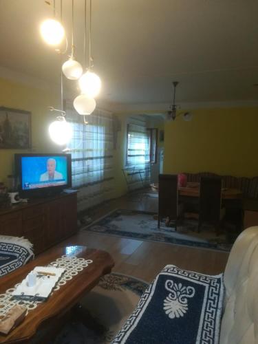 a living room with a table and a tv at Apartman Zivic in Berilovac