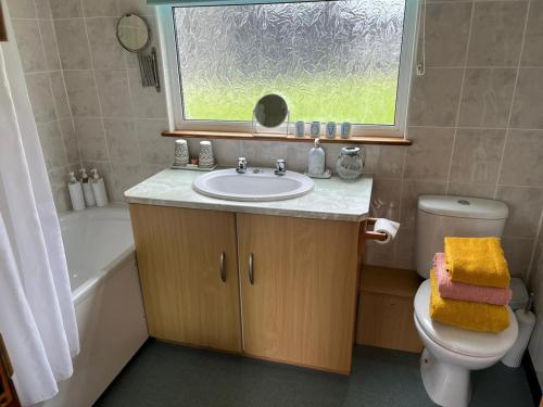 a bathroom with a sink and a window and a toilet at Idyllic Entire Chalet in Bideford Bay holiday Park near Clovelly in Bideford