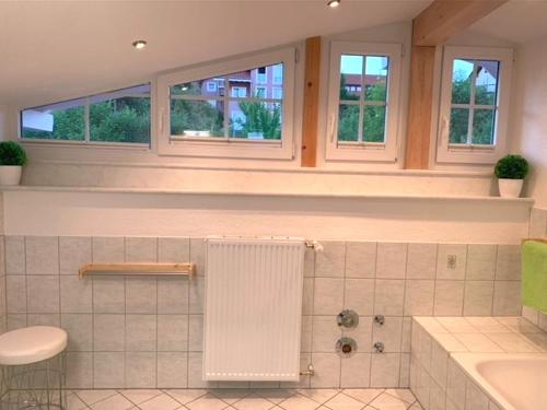 uma casa de banho com um chuveiro, um lavatório e janelas em Haus Eckert em Höchenschwand