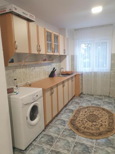 eine Küche mit einer Waschmaschine und einer Theke in der Unterkunft RazDav Straja Central in Lupeni