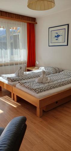Leuca 31 photo 2