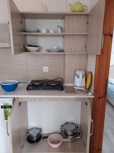 Η κουζίνα ή μικρή κουζίνα στο Larsens Suit Hotel