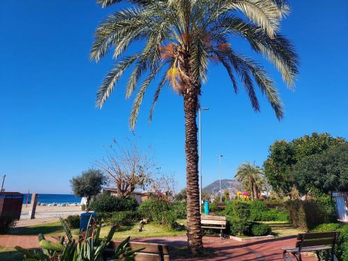 Φυσικό τοπίο κοντά σε αυτό το ξενοδοχείο διαμερισμάτων