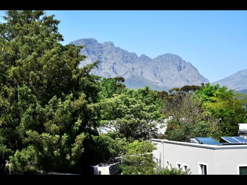 a house with trees and mountains in the background at Small Wonder in Franschhoek