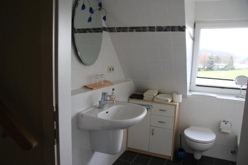 a bathroom with a sink and a toilet and a mirror at Ferienwohnung Rose in Preußisch Oldendorf