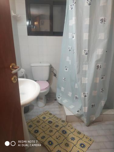 a bathroom with a toilet and a sink and a shower curtain at XRYSA PAP in Vitrinítsa