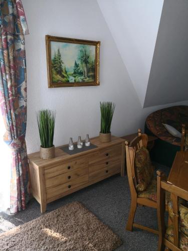 a bedroom with a dresser with two plants on it at Noclegi Hexe in Żegocina