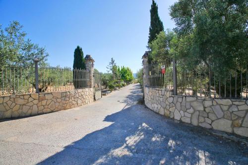 an empty street with a stone fence and trees at Senia Tomaset I in Onil