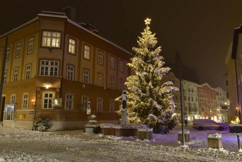 a christmas tree in front of a building at night at Sieglhof in Breitenbach am Inn