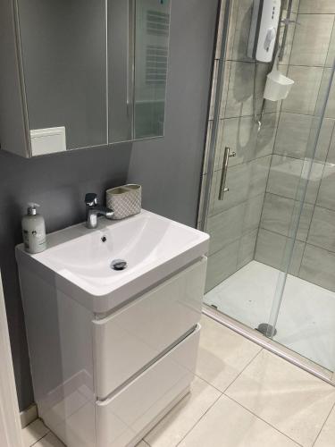 a bathroom with a white sink and a shower at Me Old Abode Entire Garden Cabin near the Sea in Kent