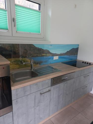 eine Küche mit einer Spüle und einer Arbeitsplatte in der Unterkunft Ferienhaus Silja in Steindorf am Ossiacher See