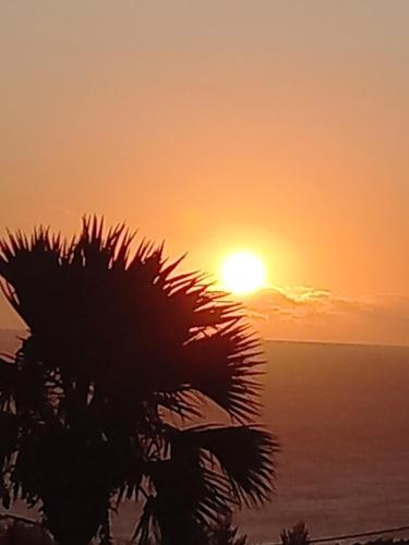 a sunset with a palm tree in front of the ocean at La case à coco in Petite Île
