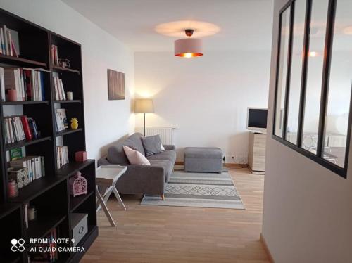 sala de estar con sofá y estante para libros en Superbe appartement avec balcon filant, en Cenon