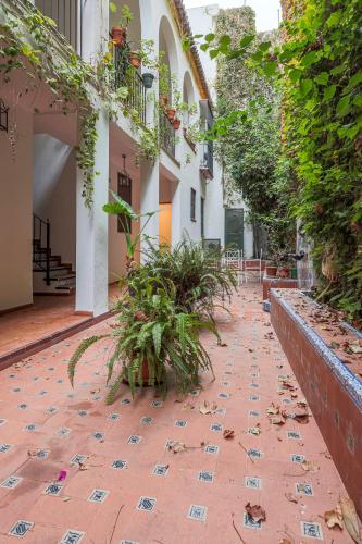 Susona - Oasis de paz en barrio Santa Cruz
