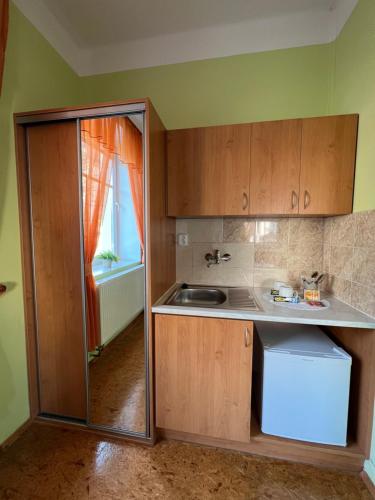 a small kitchen with a sink and a refrigerator at Penzion Greenstar in Ústí nad Labem