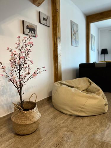 a plant in a pot on a table with a pillow at Osada Marcowa - Niebieski Domek z sauną & jacuzzi in Zakopane