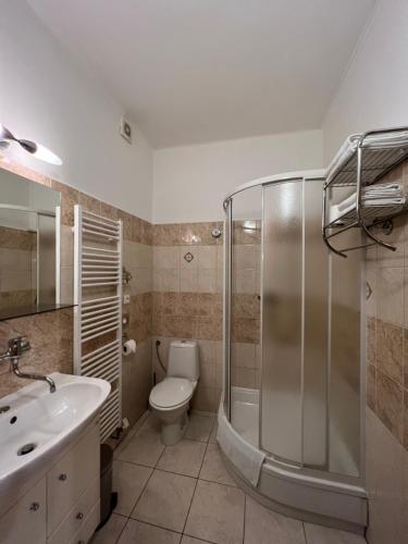 a bathroom with a shower and a toilet and a sink at Penzion Greenstar in Ústí nad Labem