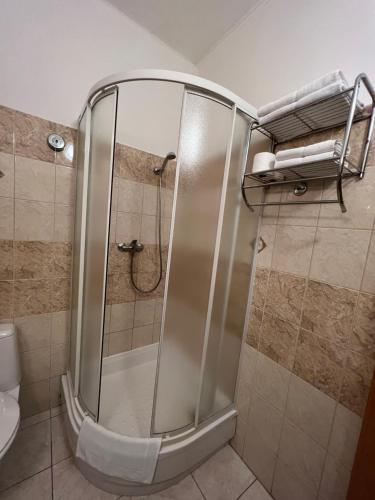 a shower with a glass door in a bathroom at Penzion Greenstar in Ústí nad Labem