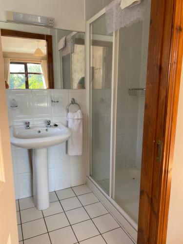 Kupatilo u objektu Davmar House Blarney