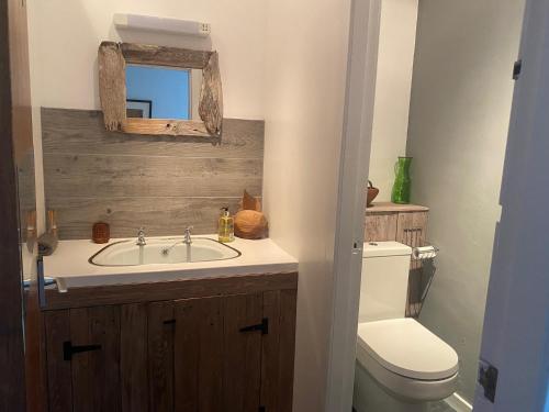 斯佩河畔格蘭敦的住宿－Ardenbeg，一间带水槽、卫生间和镜子的浴室