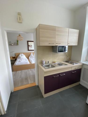 uma pequena cozinha com um lavatório e um micro-ondas em Pension Lizzi em Viena