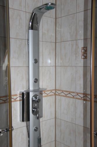 Fotografie z fotogalerie ubytování Apartament Vistula ve Visle