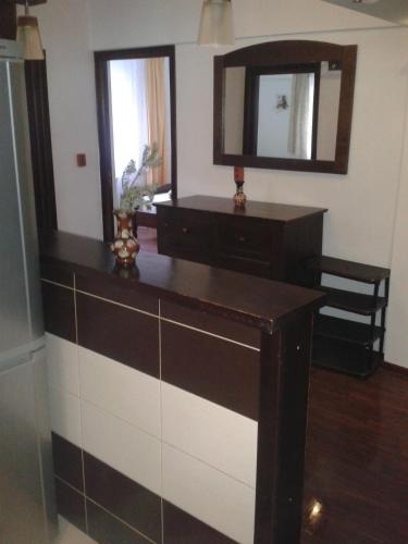 La salle de bains est pourvue d'une commode et d'un miroir. dans l'établissement Apartament Slanic Moldova, à Slănic-Moldova