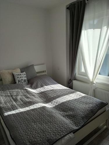 a bed in a bedroom with a window at Villa Anna, ingyenes Wifivel és parkolással. in Zalaegerszeg