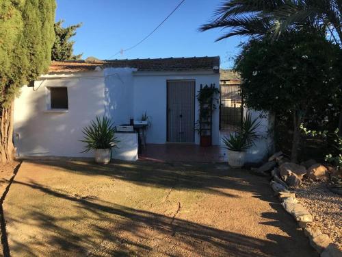 a white house with a door and a palm tree at Agradable casa rural in Murcia