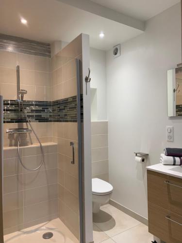 La salle de bains est pourvue d'une douche, de toilettes et d'un lavabo. dans l'établissement La Grange d Ave, à Luynes