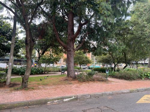 a park with trees and birds on a brick sidewalk at Hotel Boutique Quinta Camacho in Bogotá