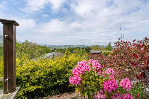 a garden with pink flowers in the foreground at Screel View in Kippford