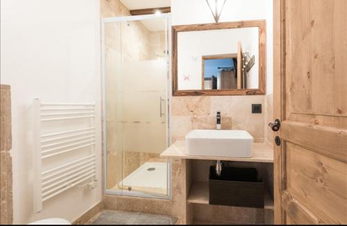 a bathroom with a sink and a shower and a mirror at Résidence Chalet des Coeurs in Notre-Dame-de-Bellecombe