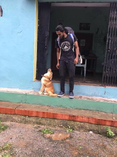 a man standing next to a dog in a doorway at Clan Boho in Rishīkesh