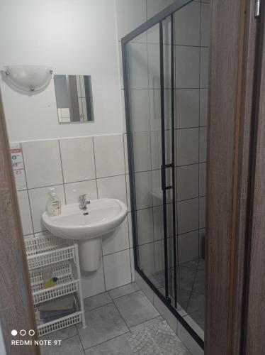 a bathroom with a sink and a glass shower at Agroturystyka u Pawła i Asi in Kobyla Góra