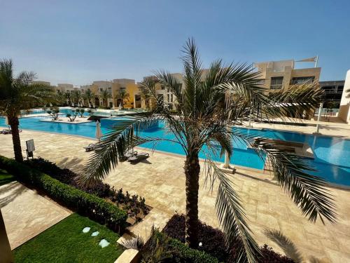 an overhead view of a swimming pool with a palm tree at Mangarovy El Gouna in Hurghada