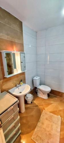 a bathroom with a sink and a toilet and a sink at Sunflower Apartments in Pristina