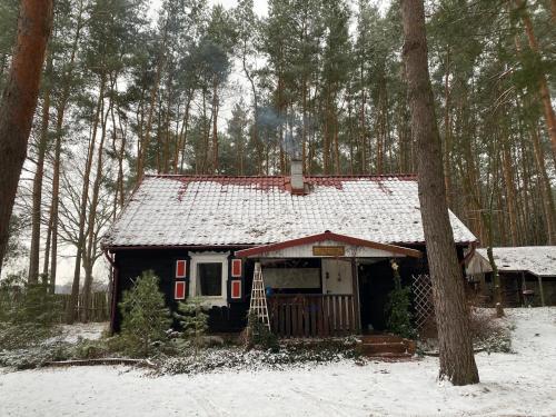 Babi Domek v zimě