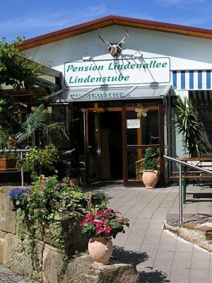 a building with pots of flowers in front of it at Pension Lindenallee in Neuendettelsau