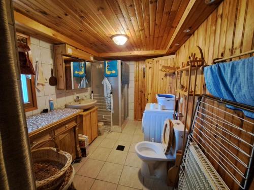 a bathroom with a toilet and a sink at Cosy house in picturesque Jura in Doucier