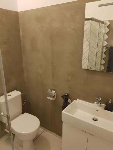 La salle de bains est pourvue de toilettes, d'un lavabo et d'un miroir. dans l'établissement Stylish studio apartment by Namesti Miru, à Prague