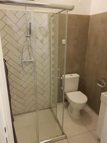 La salle de bains est pourvue de toilettes et d'une douche en verre. dans l'établissement Stylish studio apartment by Namesti Miru, à Prague