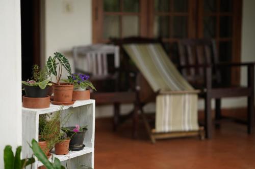 a group of potted plants sitting on a white shelf at Carpe DiemStay in Kushālnagar