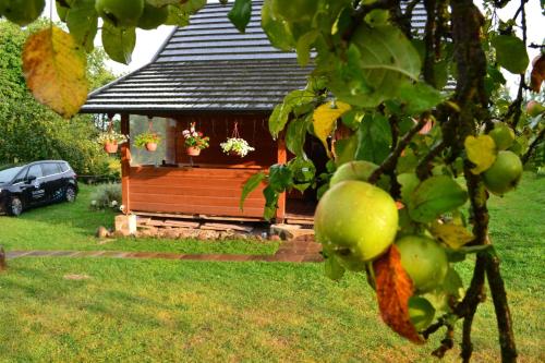 Taman di luar Domek SADKOWO - wśród jabłoni , balia ogrodowa dodatkowo płatna